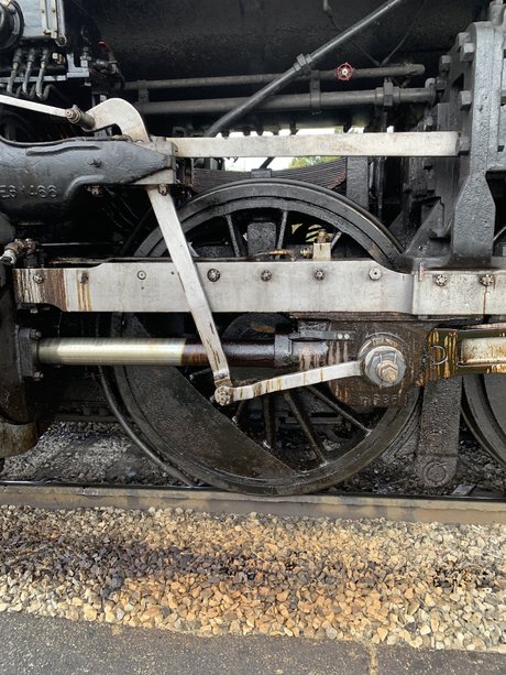 Casey Bell onlyfans leaked porn