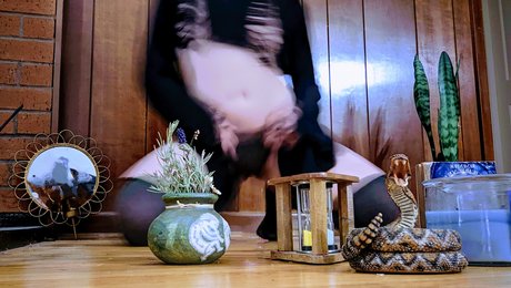 Fae Amore leaked nudes onlyfans