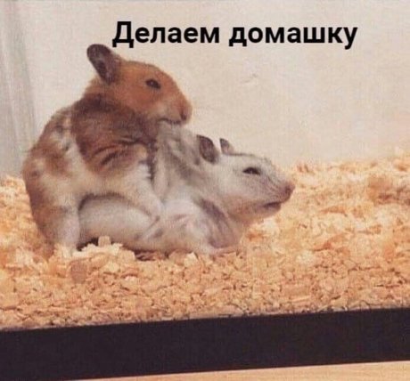 Onostasisa onlyfans nude pictures