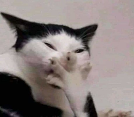 J U N I O R D_ onlyfans photos