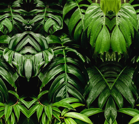 Paula Molina onlyfans naked leaked