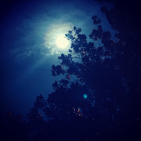 IndigoStar onlyfans leakd