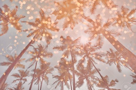 BigLips onlyfans archives