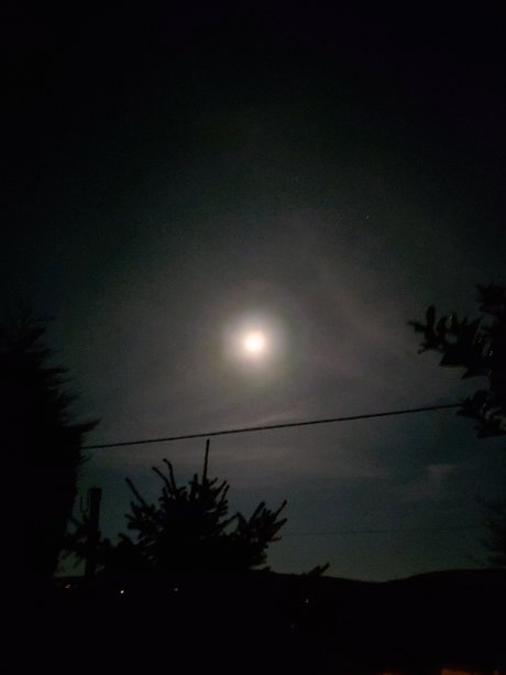 Tribs only fans leak nude