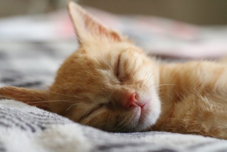 Wilhelm AF onlyfans leaks.