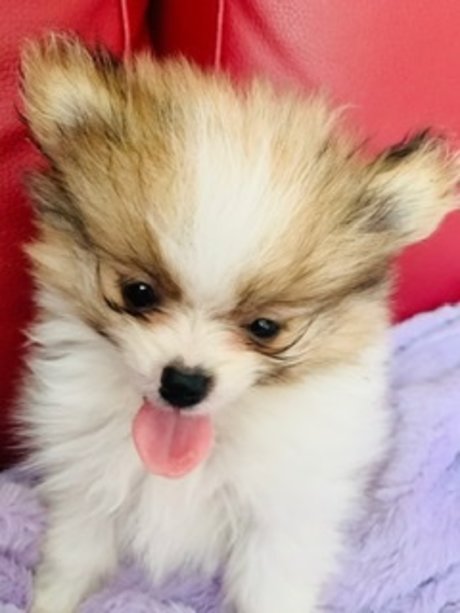 Kaju nudes onlyfans leaks