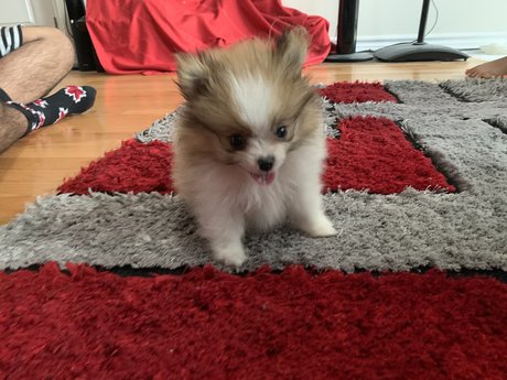 Kaju onlyfans sextape