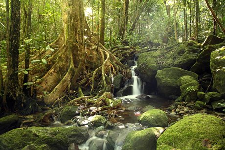 Jackson Blazkowicz free onlyfans