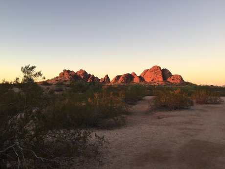 Dana Williams porn onlyfans leak