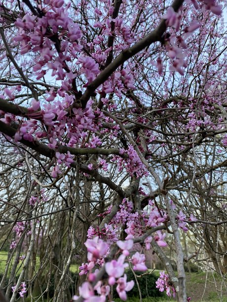 thrashersfan13 onlyfans nudes