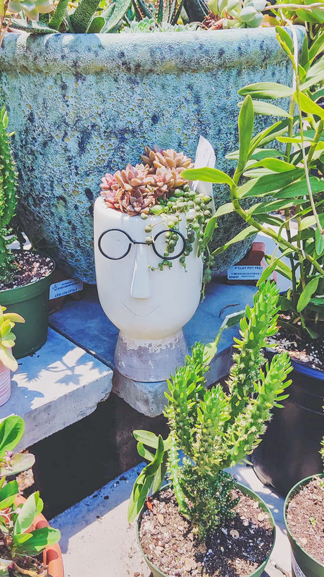 IrishGirl only fans leak nude