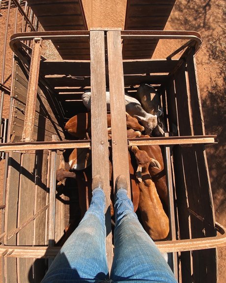 Naughtycowgirl only fans nudes