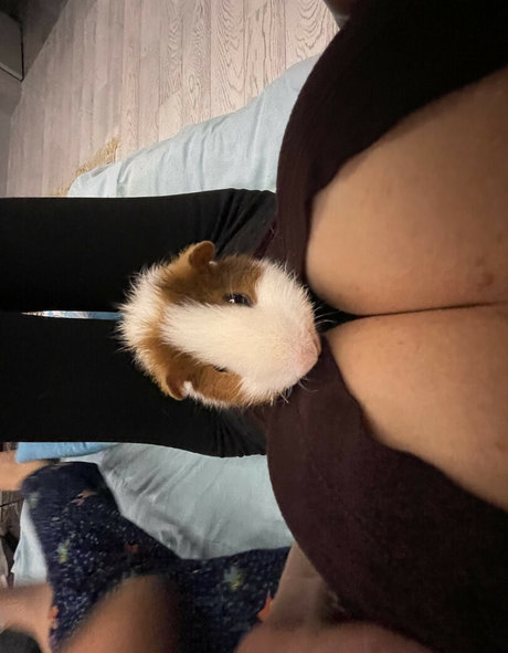 Lisa Rulit nudes onlyfans leaked