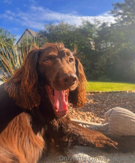 leorose02 onlyfans leaked photos