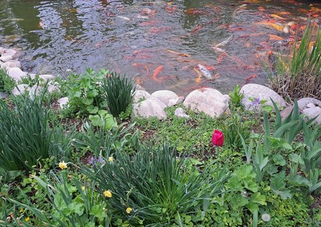 youcancallmeoly leaked onlyfans