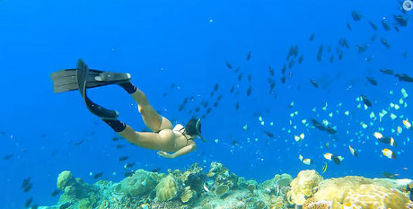 Victoria Ferreira nude onlyfans