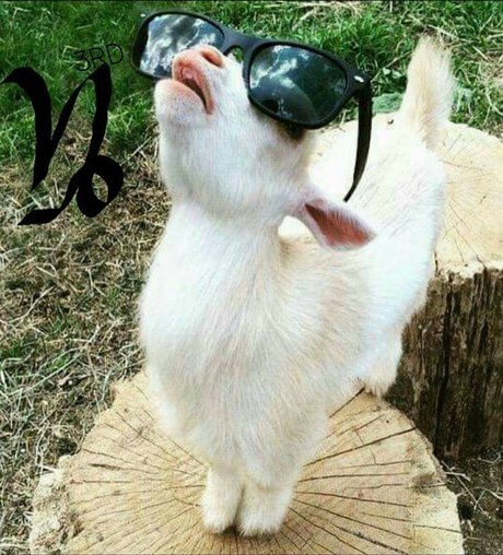 Itwontcookitsself onlyfans leaked pics