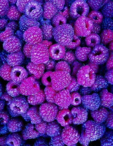 Laia xoxo onlyfans leaked naked