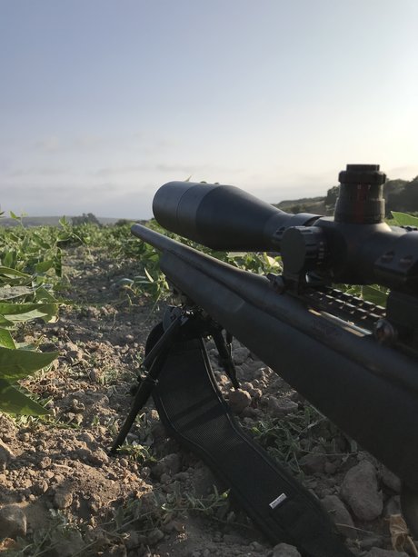 Ton of rough onlyfans naked