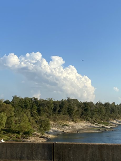 Kevin Lee Nettles onlyfans leak new