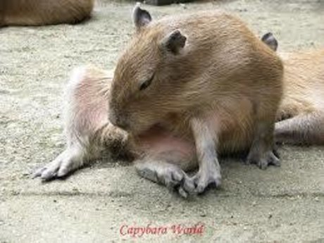 perfect tits onlyfans naked photo