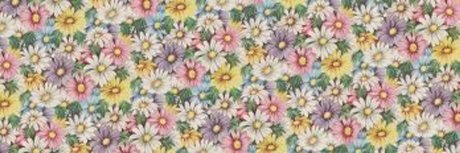 Claire Taylor xxx only fans