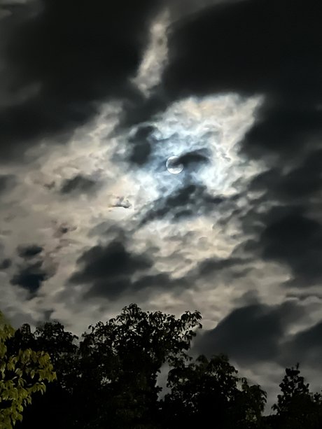 Kristi Katsuragi onlyfans sextape