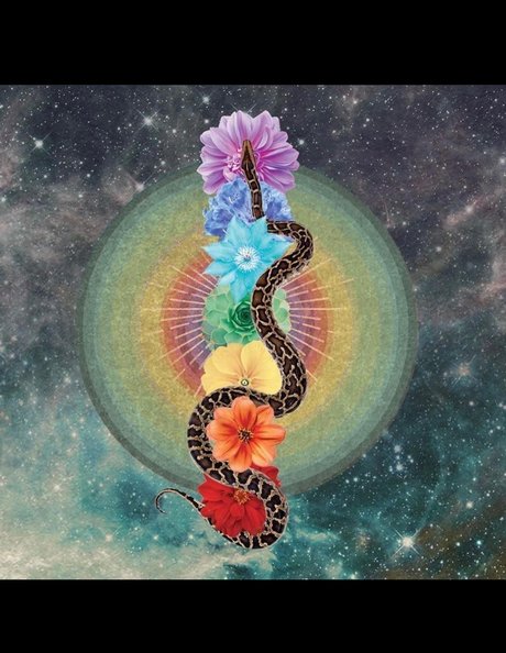 PhoenixRhysing onlyfans leakes