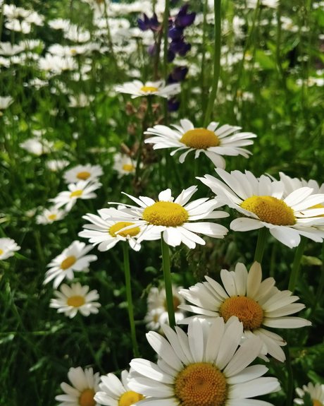 Vipetys Sneak Peek onlyfans leaked