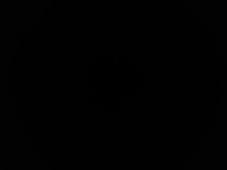 Get Money leak onlyfans