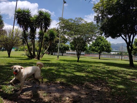 Juesva onlyfans leakes