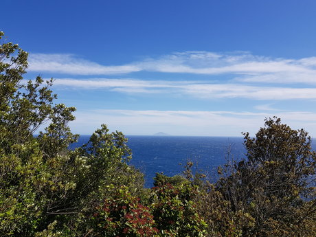 Mrmassi nude onlyfans