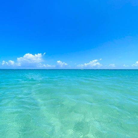 Mr goodbearxxx leaked only fans nudes