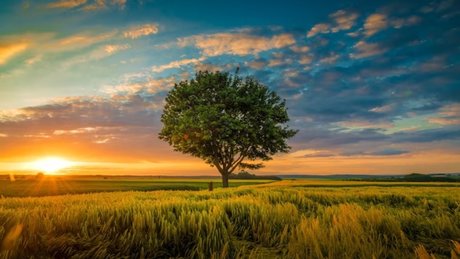 Mercedes Blanche leaked onlyfans porn