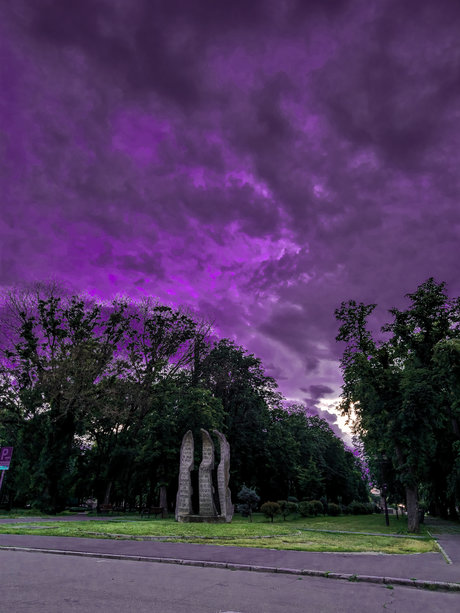 Rocco JR onlyfans pictures