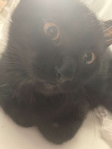 Selene Night leaked nude onlyfans