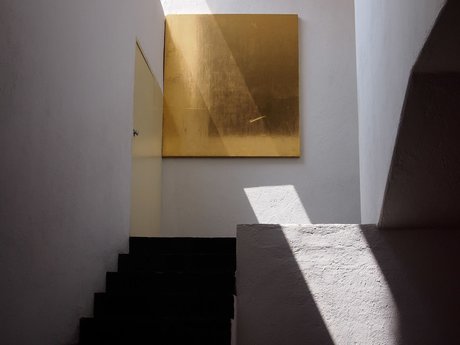 SavagePapillon only fans