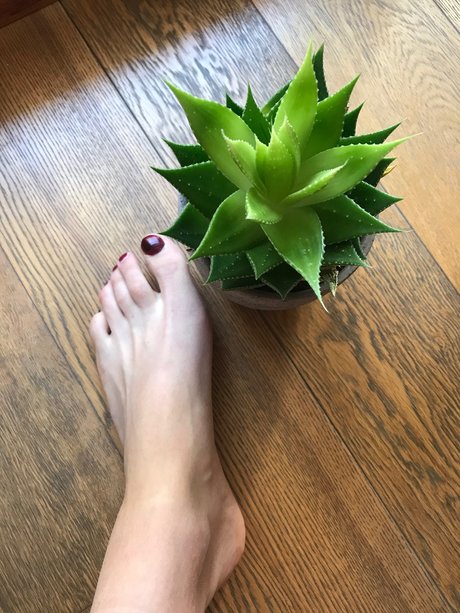 Howtosqu rt onlyfans leak xxx