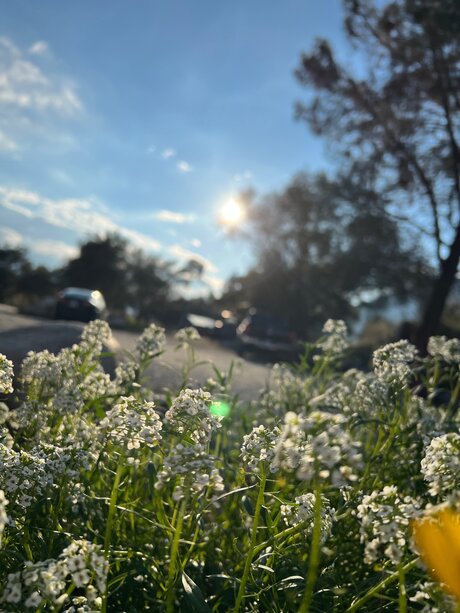 Marie C_ onlyfans leaked