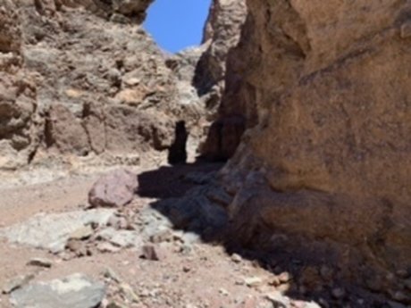 Stuart onlyfans photos