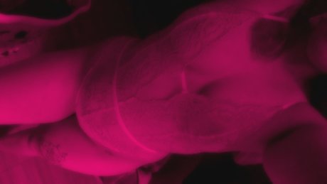 cyberkitten onlyfans fotos