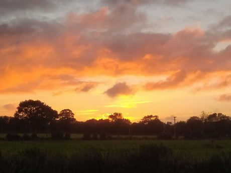 Thefixo onlyfans leaka