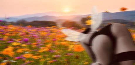 Refia leaked onlyfans nude