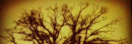 Jesse Prather joi onlyfans