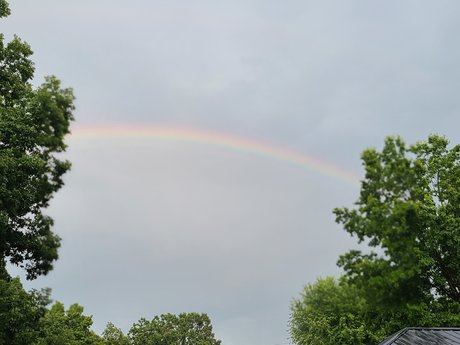 Luckydragon7 naked onlyfans leak