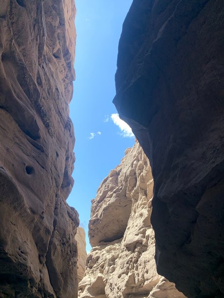 Abbyrose topless onlyfans