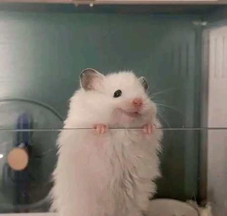 Lira Morrison onlyfans leak nudes