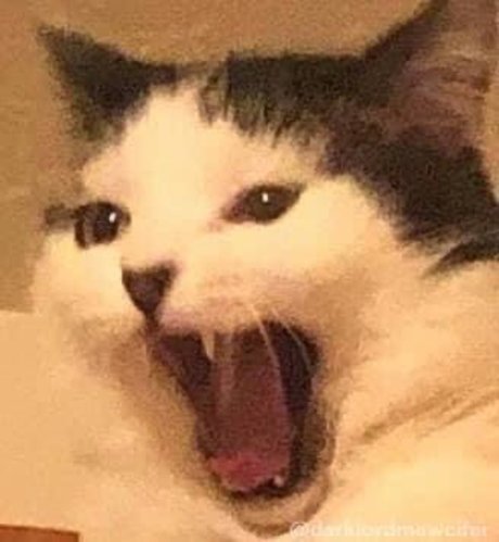 Mr Peach onlyfans free porn