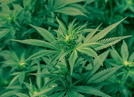 Whole Lotta Babee onlyfans strip