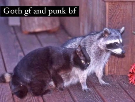 Tommy and Aynnnje FTW onlyfans leaks.